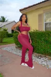 Solid Color Crop Top and Pleated Split Micro Trousers