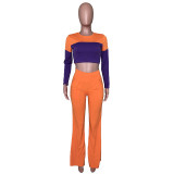 Casual Stitching Crop Top and Flared Pant