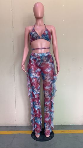 Casual Printed Mesh Two-piece Set with Panties