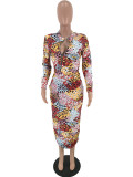 Casual Leopard Print Mid Dress