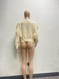Solid Knitted Fringed Sweater
