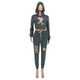 Casual Autumn/Winter Printed Hooded Sweatsuit Pant Set