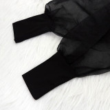 Black Turtleneck Mesh Lantern Sleeve Mid Dress