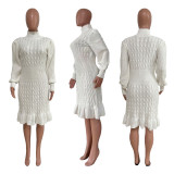 Casual Solid Basic Sweater Turtleneck Ruffle Hand-Knit Long Sleeve Dresses