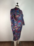 Plus Size Fat Printed Mid Dress