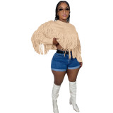 Solid Knitted Fringed Sweater