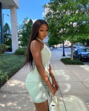 Wholesale Pale Green Print Halter Backless Pleated Skirt Set 2 Piece