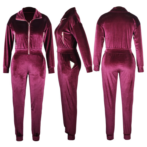 Casual Solid Gold Velvet Patchwork Zipper Turndown Collar Long Sleeve Two Pieces