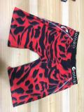 Casual Print Letter Men Shorts