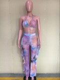 Casual Printed Mesh Two-piece Set with Panties