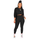 Solid Color Batwing Sleeve High Waist Top & Trousers