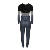 Casual Colorblock Hooded Zipper Pant Set