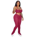 Solid Color Crop Top and Pleated Split Micro Trousers