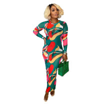 Casual O Neck Long Sleeve Printed Mesh Maxi Dress