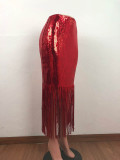 Sequins Fringe Party Long Skirt