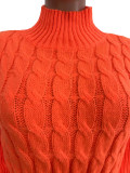 Casual Solid Basic Sweater Turtleneck Ruffle Hand-Knit Long Sleeve Dresses