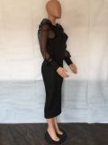 Fashion Mesh Puff Sleeve Elegant Slim Mid Dress