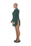 Solid Color Sexy See Through Single-breasted Lapel Slits Chiffon Shirt