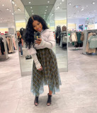 Plaid + Mesh Irregular Skirt