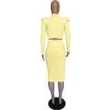 Yellow Pleated Nine Points Sleeve Round Neck Princess Sleeve Dress