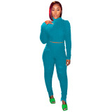 Casual Long Sleeve Bubble Fabric Pants Set