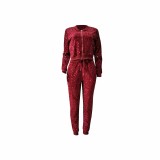 Red Sparkly Sequin Threaded Two Piece Set for Women Fall Winter Sport Suit Zipper Sweatshirts Jacket Top and Pants Tracksuit Clubwear