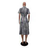 Casual Digital Geometric Irregular Print Midi Dresses
