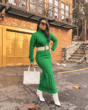 Solid Color Sweater Women High Neck Knit Long Dress without Belt
