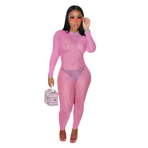 Autumn Sexy Pink Mesh See Through Long Sleeve Jumpsuit with Back Zipper Autumn Sexy Pink Mesh See Through Long Sleeve Jumpsuit with Back Zipper