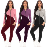 Color Block Zipper Turndown Neck Blouse and Pants