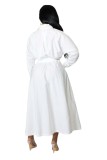 Fashion POLO Collar Loose Long Sleeve Long Dress
