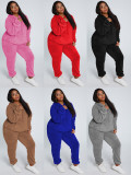 Solid Color Pink Plush Hooded Long Sleeve Winter 2 Piece Pant Set