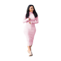 Casual Solid Pink Embroidered Turtleneck Zipper One Step Skirt Dresses