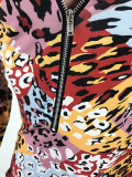 Casual Leopard Print Mid Dress