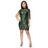Sexy Mesh Sequined Fringed Bodycon Dress