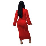 Ruched Lantern Sleeve Zip Front Bodycon Dress