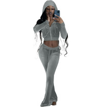 Grey Velour Winter Clothes Autumn Winter Velvet Hooded Casual Pants Sets For Women