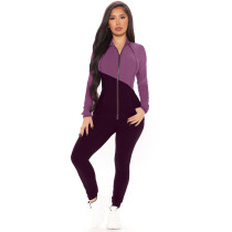 Color Block Zipper Turndown Neck Blouse and Pants