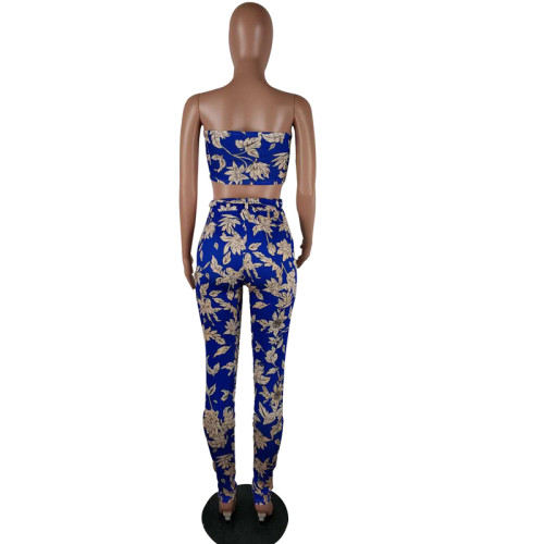 Casual Print Strapless Crop Top and Trousers