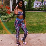 Casual Print Crop Top and Pant