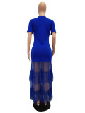 Textured Ribbon Mesh Sheer Long Dress