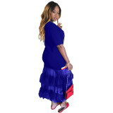 Textured Ribbon Mesh Sheer Long Dress