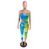 Casual Gradient Straps Crop Top and Pant