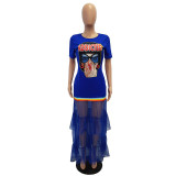 Textured Ribbon Mesh Sheer Long Dress