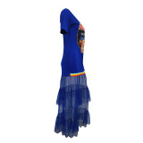 Textured Ribbon Mesh Sheer Long Dress