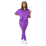 Casual Slim Sportswear Solid Color Short Sleeve Pant Set