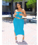 Sexy See Through Strapless Backless Wrapped Tube Top Tassel Knit Skirt