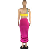Solid Color Single Shoulder Tube Top + High Waist Pleated Matching Skirt