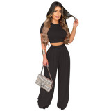 two piece set women clothing trendy women's clothing all-match casual wide-leg two-piece suit ladies sets