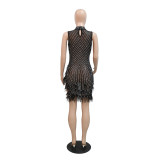 Sexy Mesh Dress with Rhinestones, Beads, and Feathers